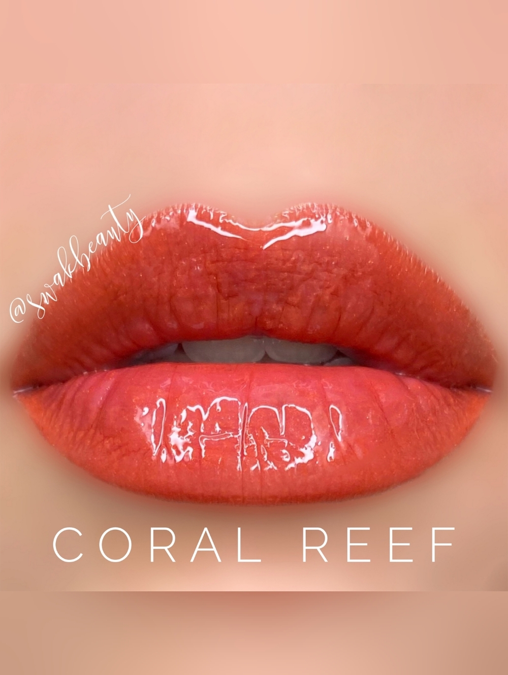 CORAL REEF (Limited Edition)